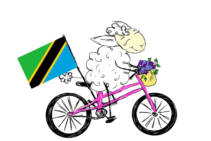 tanzania bike
